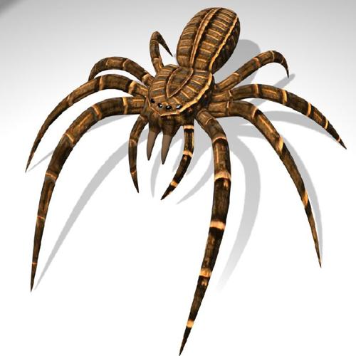 BGE Spider preview image